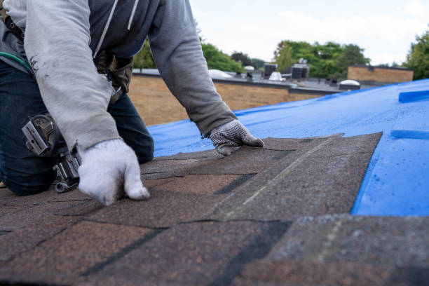 Best Commercial Roof Installation  in Haven, KS