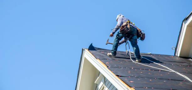 Best Roof Gutter Cleaning  in Haven, KS